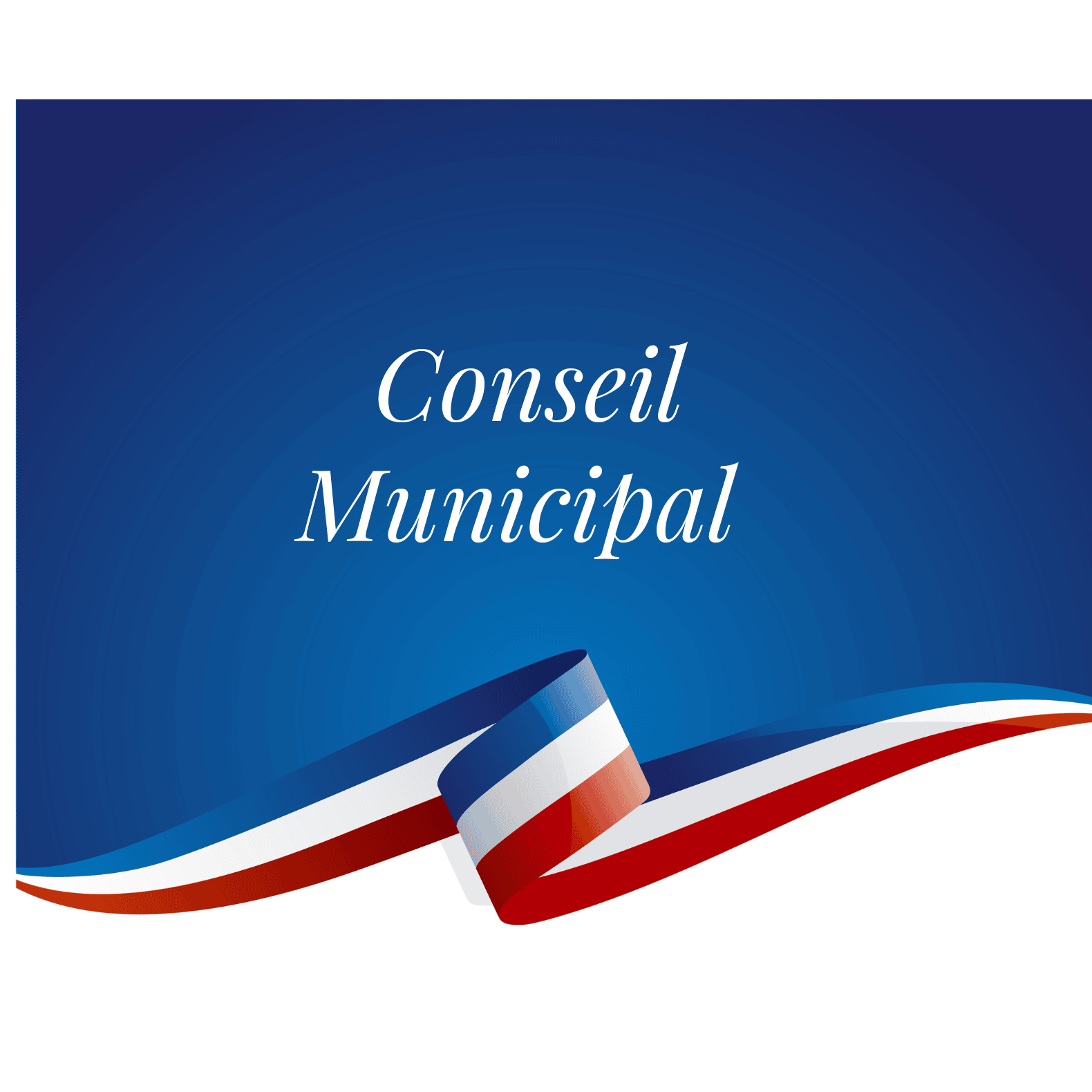 Conseil Municipal (9)